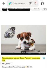 Screenshot_2025-02-07-12-57-18-998_com.android.chrome-edit.jpg